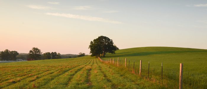 Image showing sunrise on Horsebarn Hill.