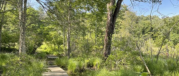 Bridge in Hope River Park, Mansfield CT