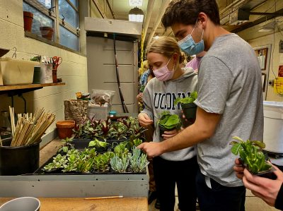 Students holding plants